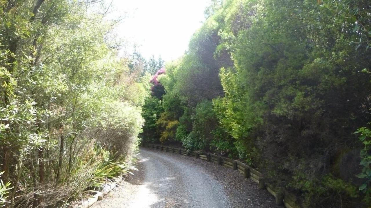 Photo of Others in Redwood Valley