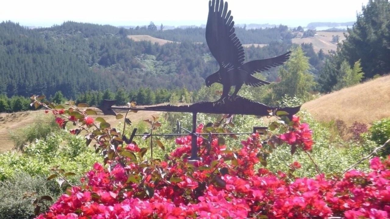 Photo of Others in Redwood Valley