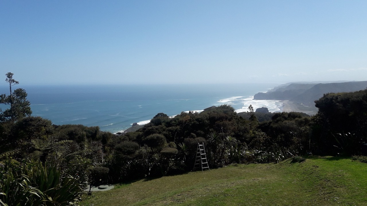 Photo of Outdoor in New Lynn