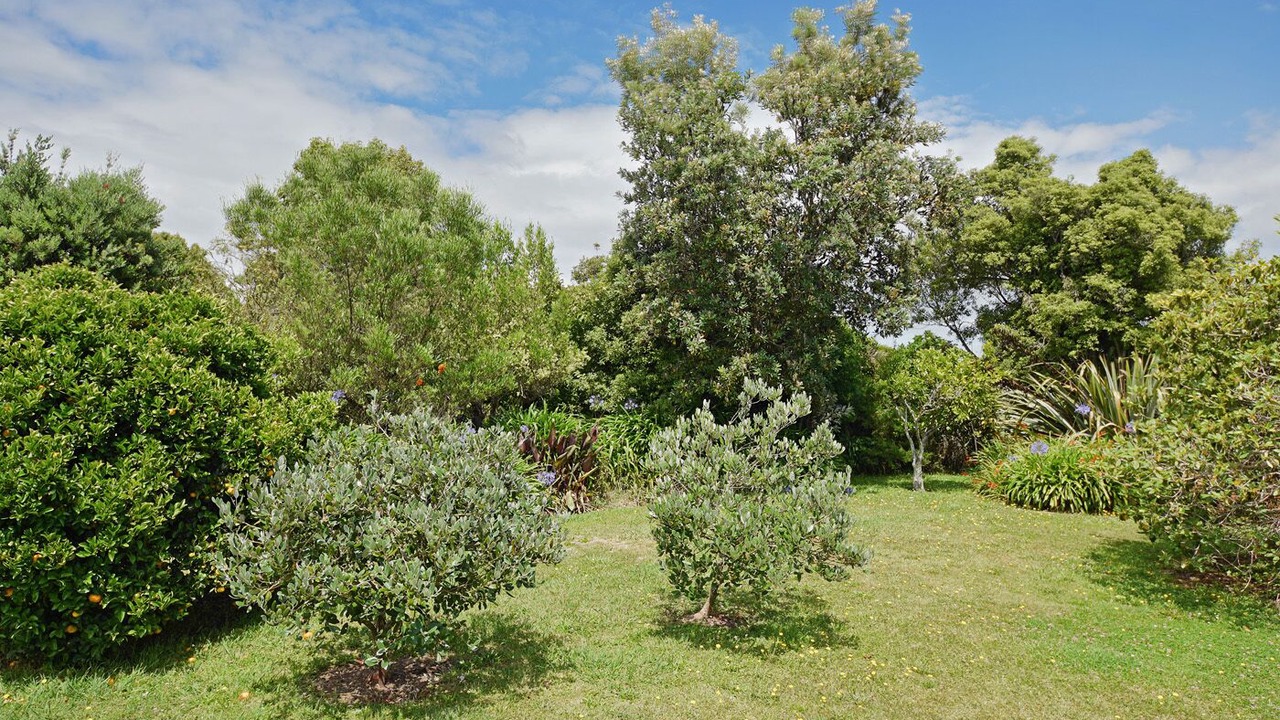 Photo of Outdoor in Tasman