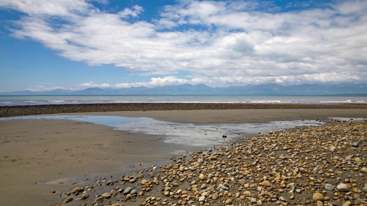 Photo of Others in Tasman