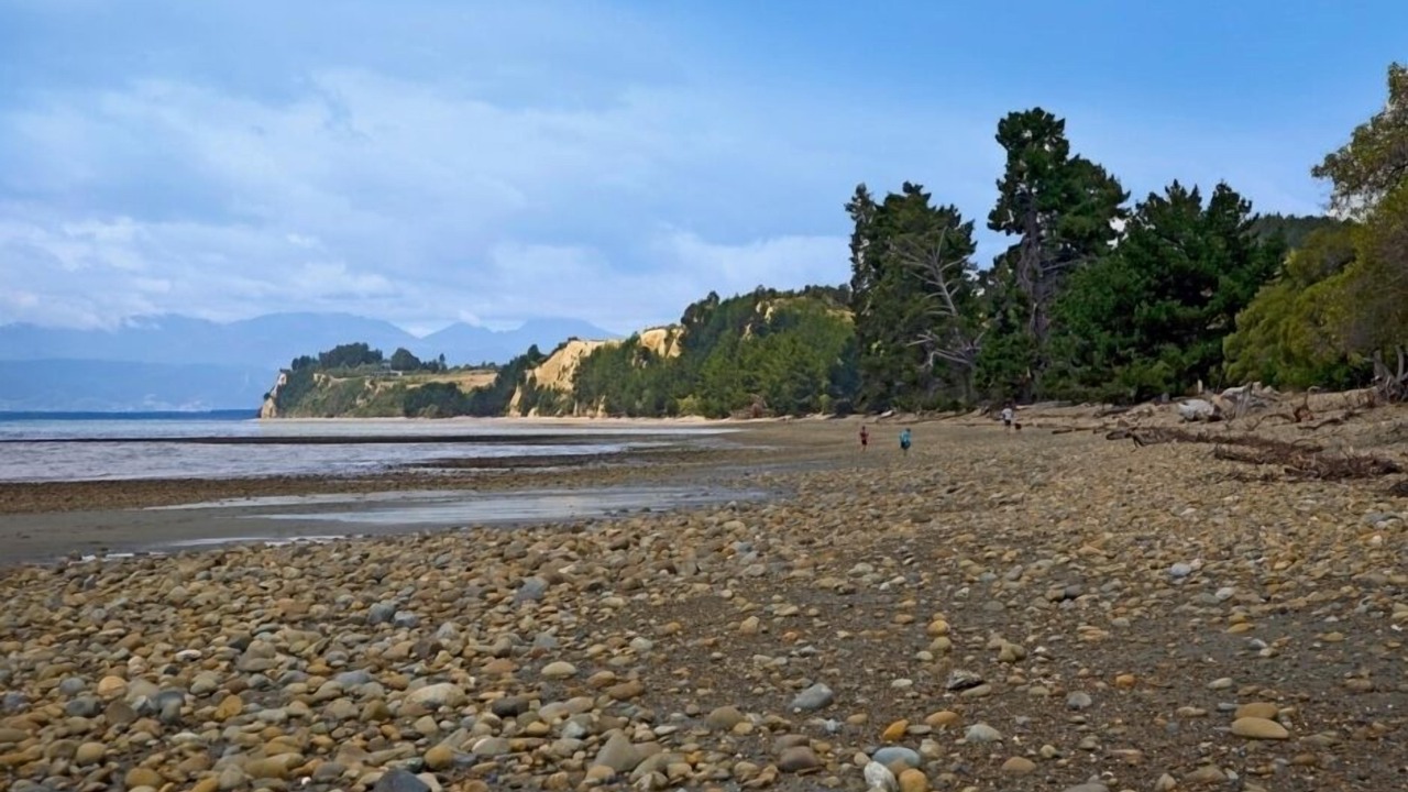 Photo of Others in Tasman