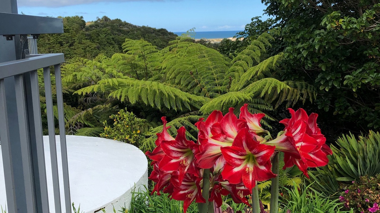 Photo of Outdoor in Ngunguru