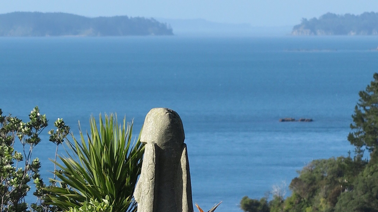 Photo of Outdoor in Tawharanui