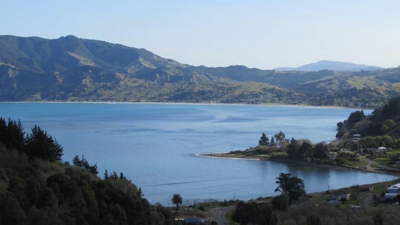 Photo of Others in Tokomaru Bay