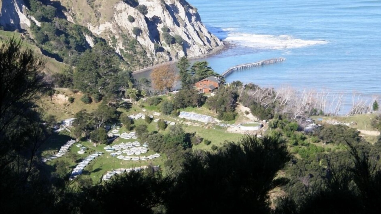 Photo of Others in Tokomaru Bay