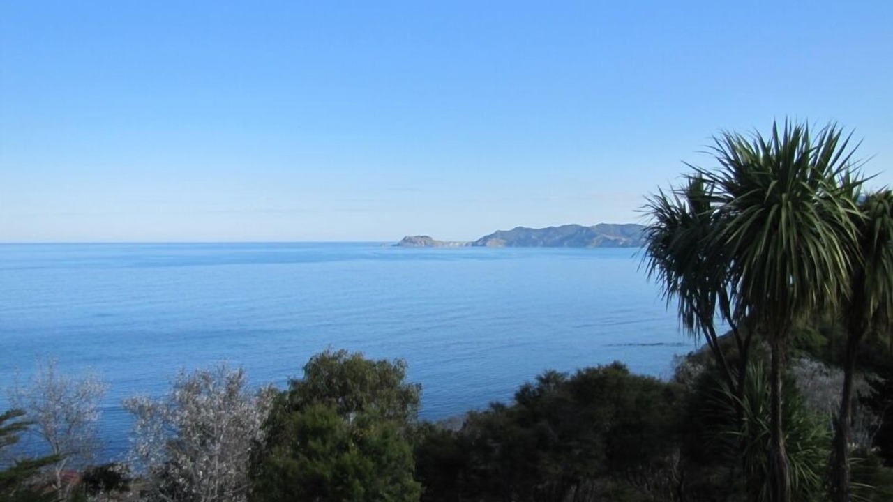 Photo of Others in Tokomaru Bay