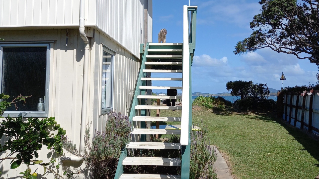Photo of Others in Tutukaka