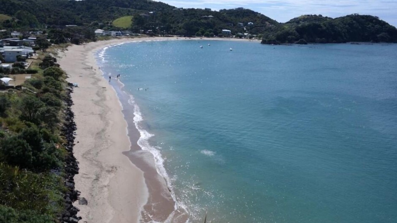 Photo of Others in Tutukaka