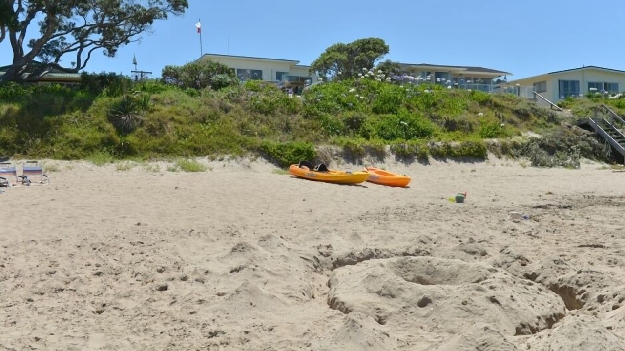 Photo of Others in Tutukaka
