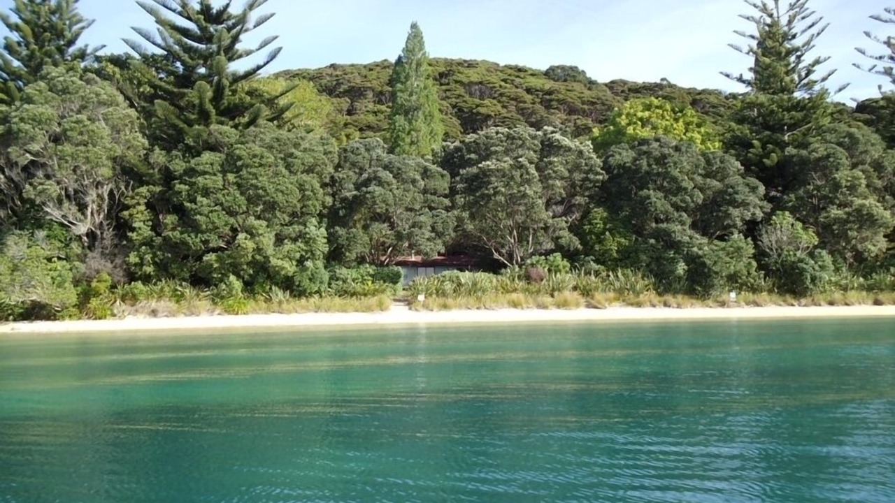 Photo of Others in Bay of Islands