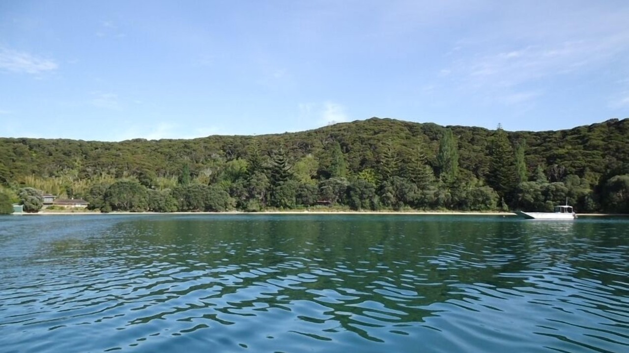 Photo of Others in Bay of Islands