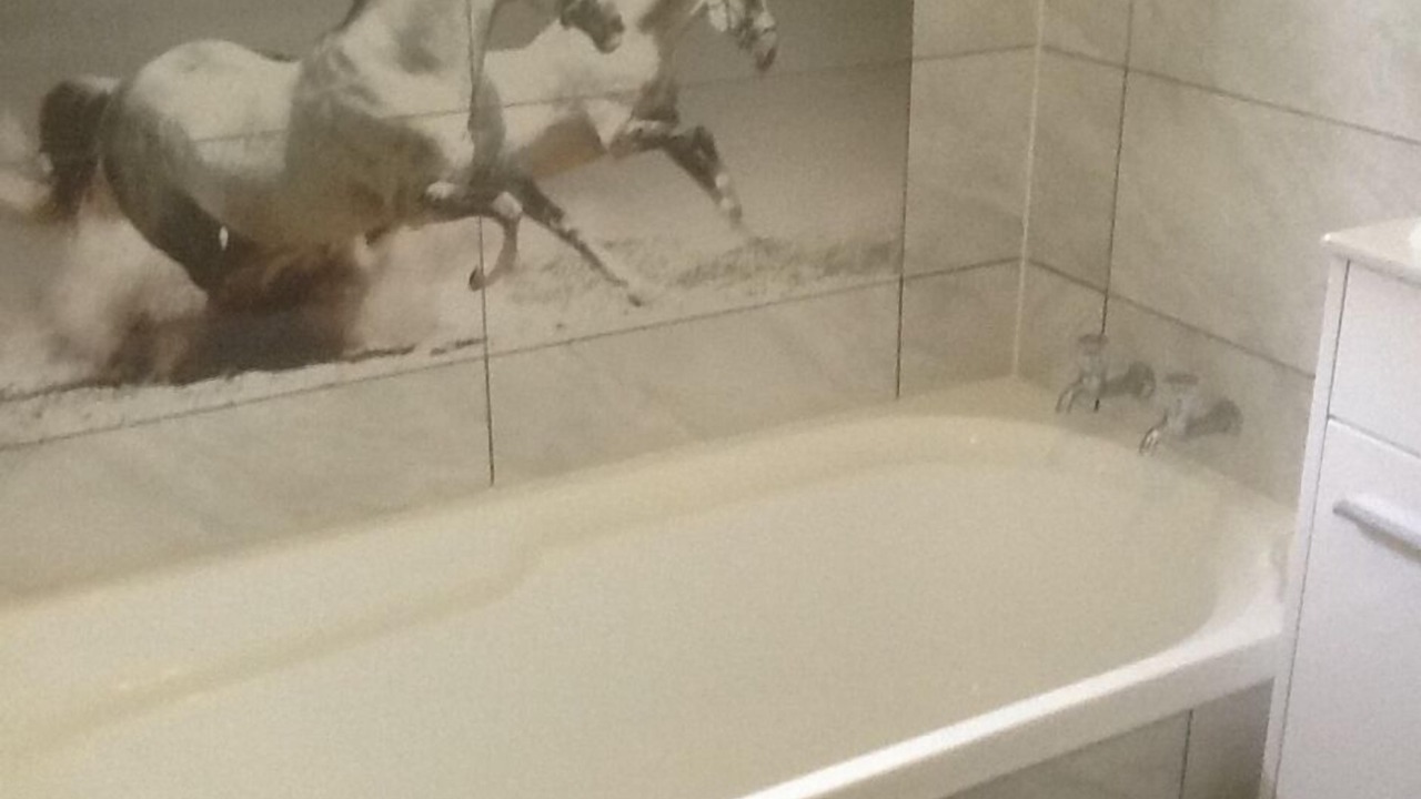 Photo of Bathroom in Waimauku
