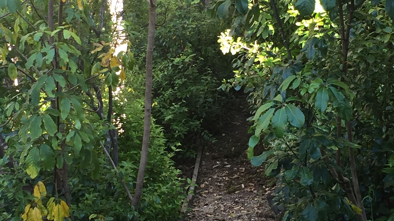 Photo of Others in Ngaio Bay