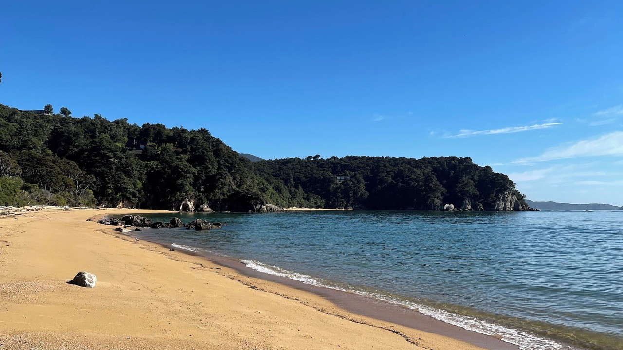 Photo of Others in Ngaio Bay