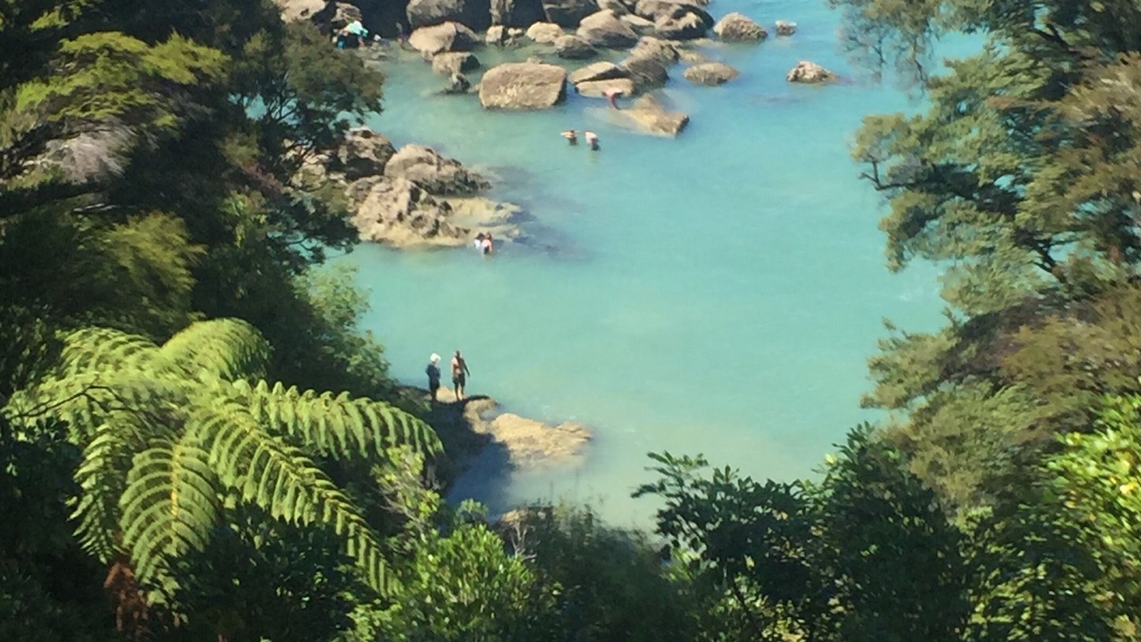 Photo of Others in Ngaio Bay