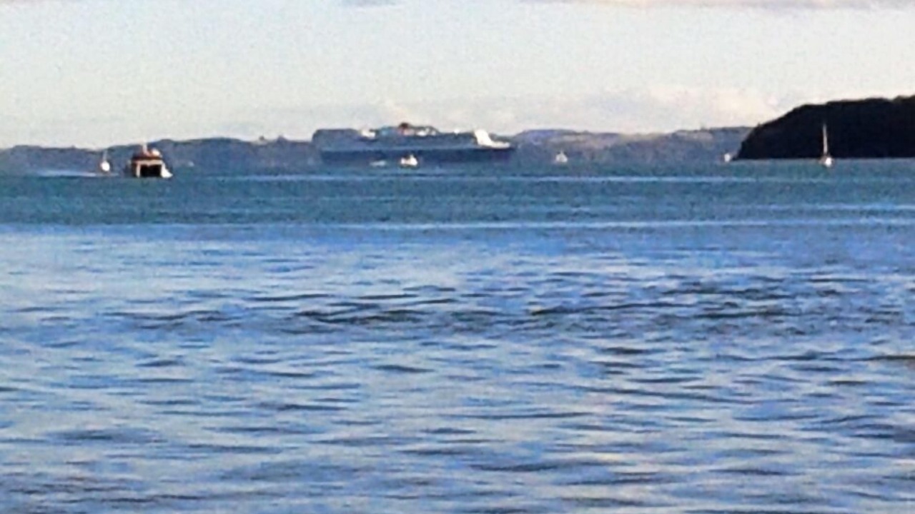 Photo of Others in Opua