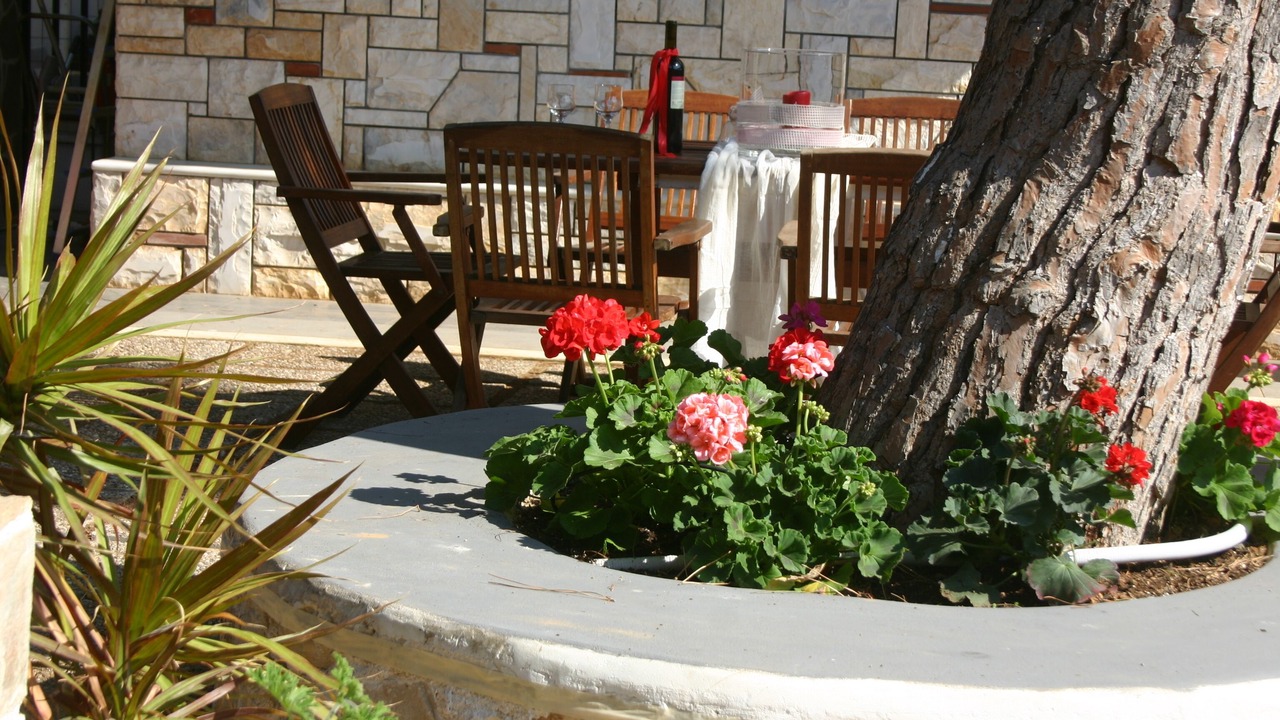 Photo of Outdoor in Lagonissi