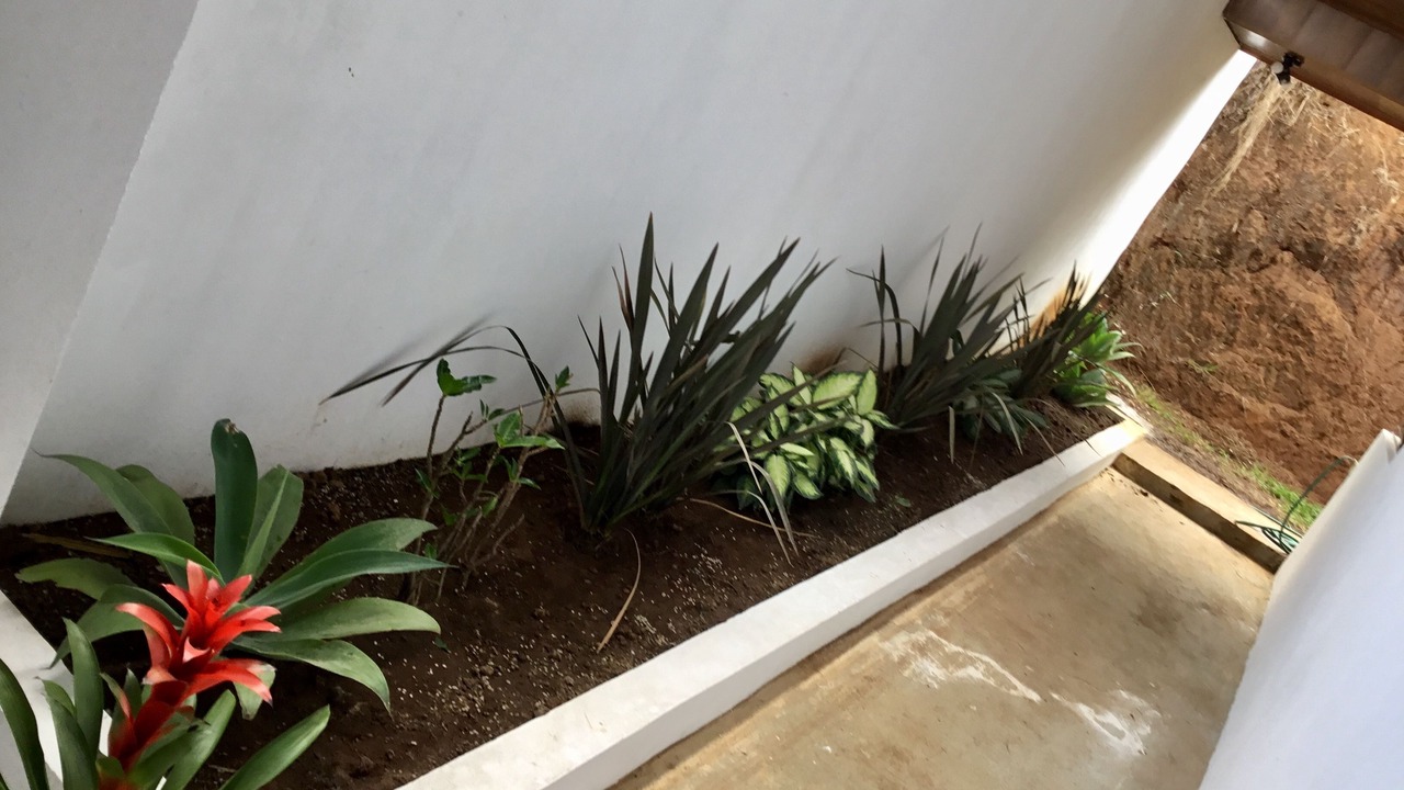 Photo of Outdoor in Desamparados
