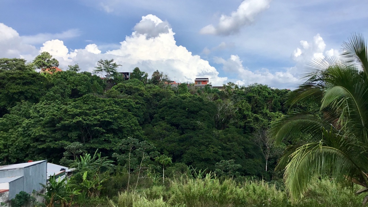 Photo of Outdoor in Desamparados