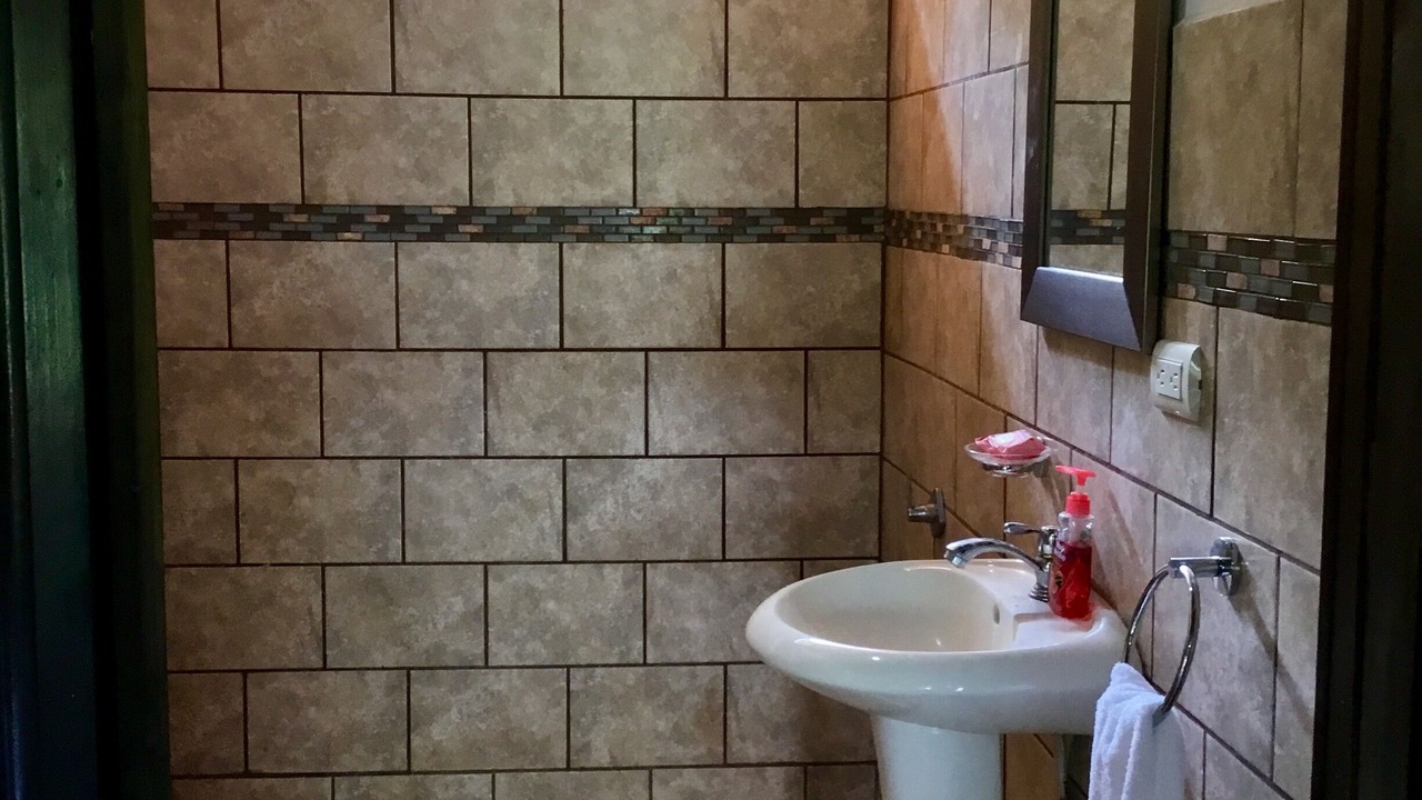 Photo of Bathroom in Desamparados
