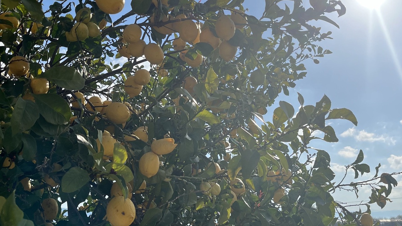 Photo of Outdoor in Preveza