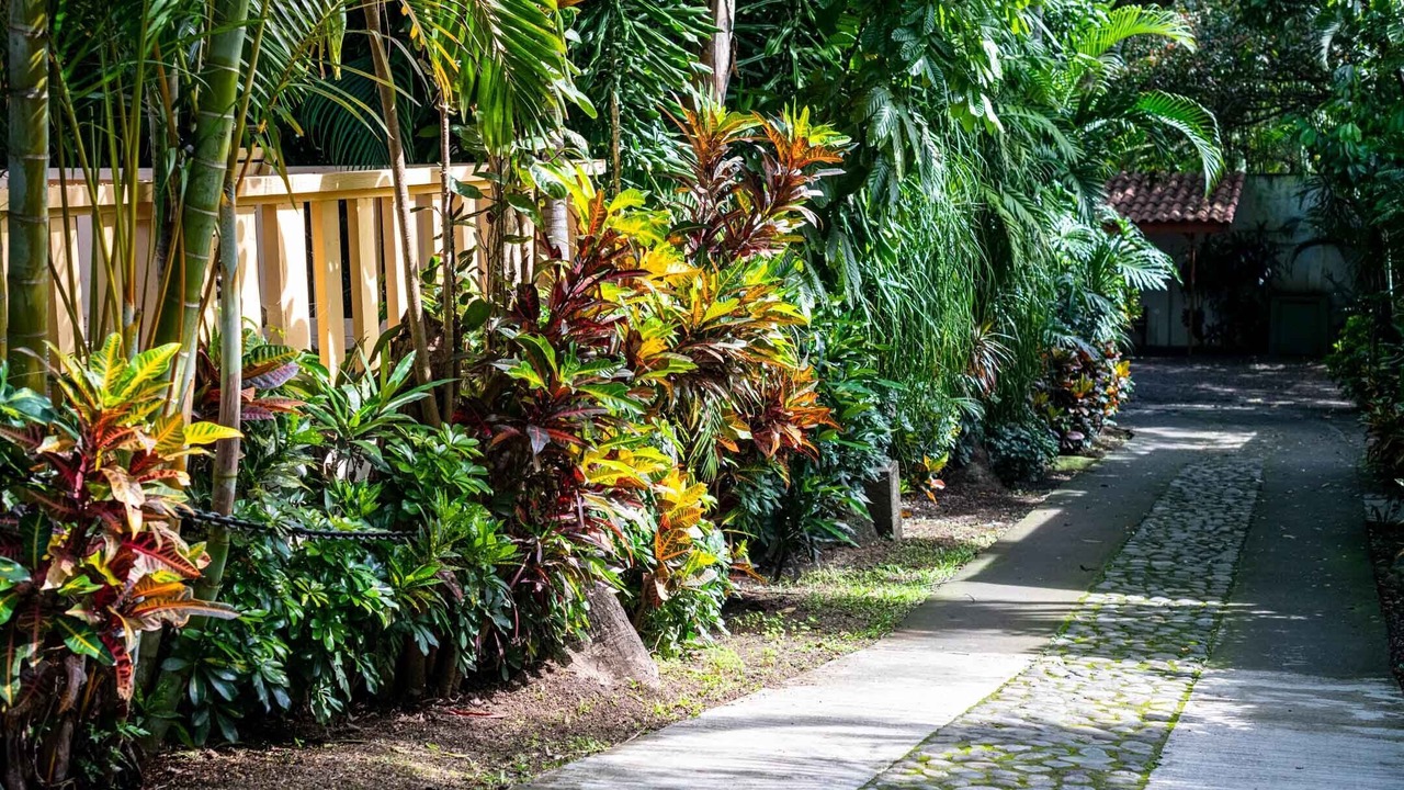 Photo of Outdoor in Escazu