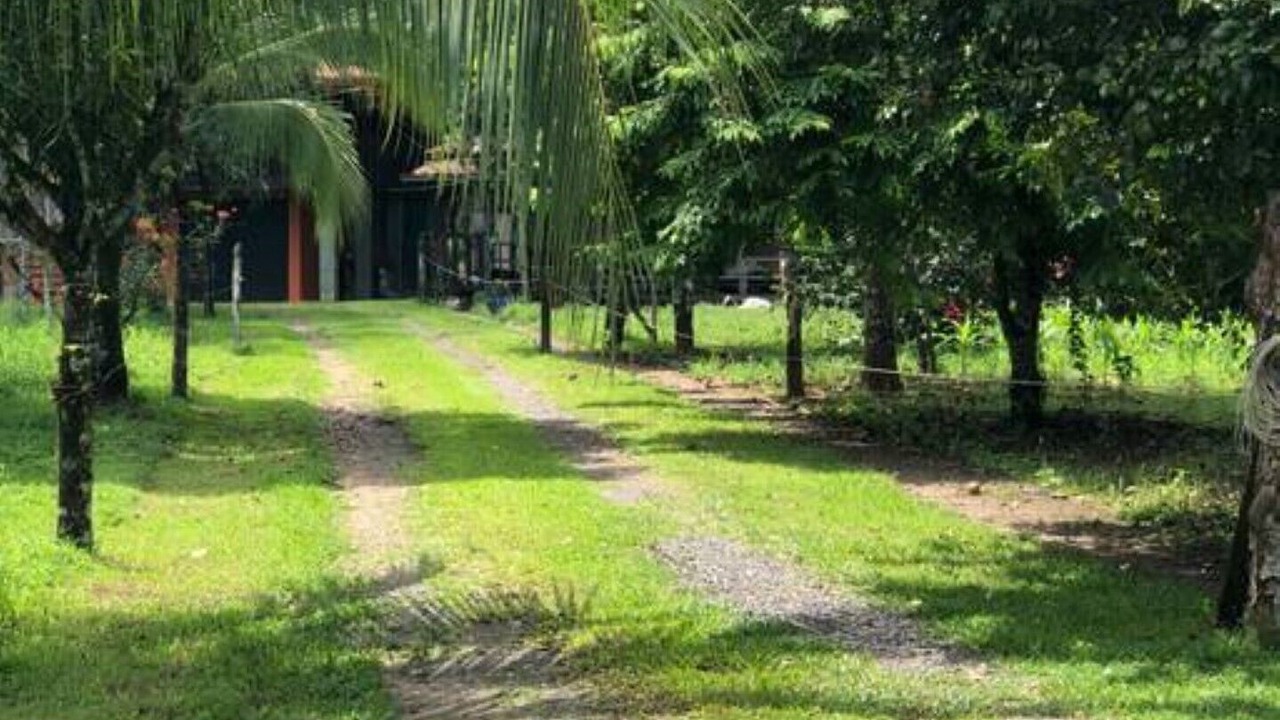 Photo of Outdoor in Santa Clara