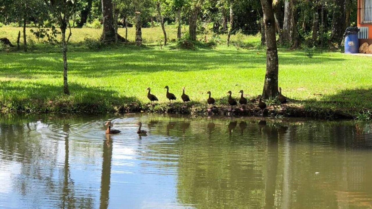 Photo of Others in Santa Clara