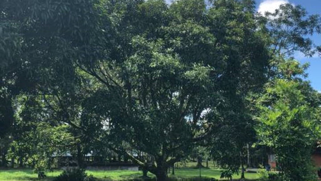 Photo of Outdoor in Santa Clara