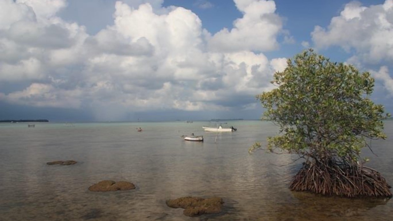 Photo of Others in Karimun Jawa