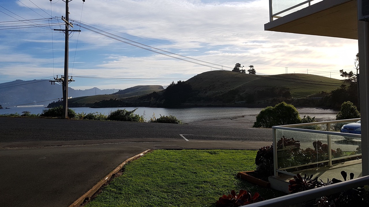Photo of Outdoor in Dunedin