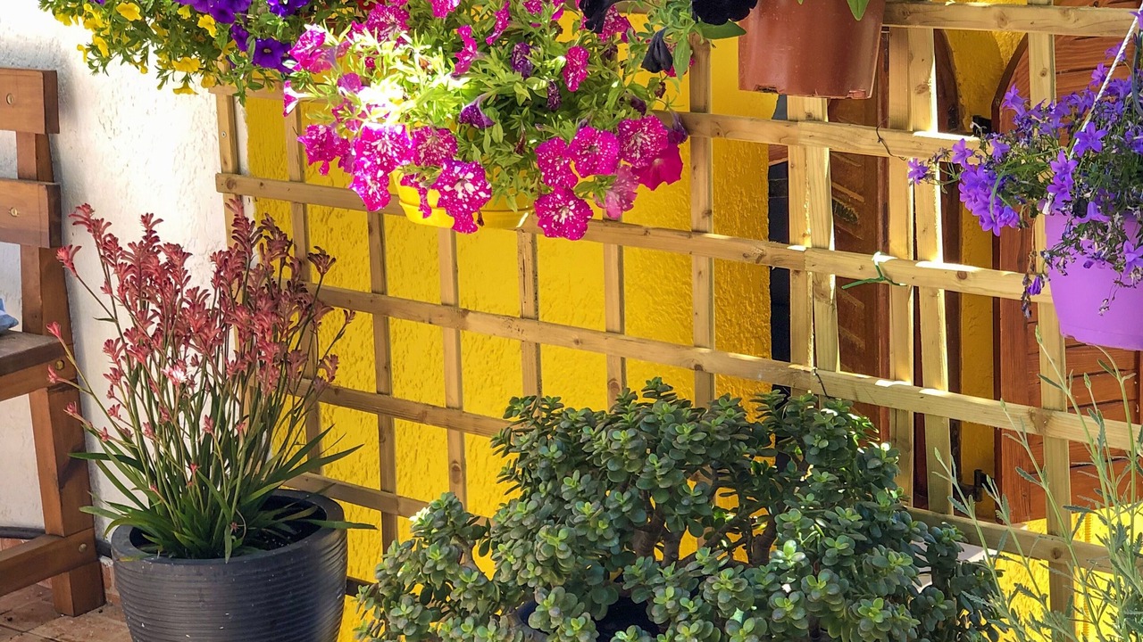 Photo of Outdoor in Triopetra