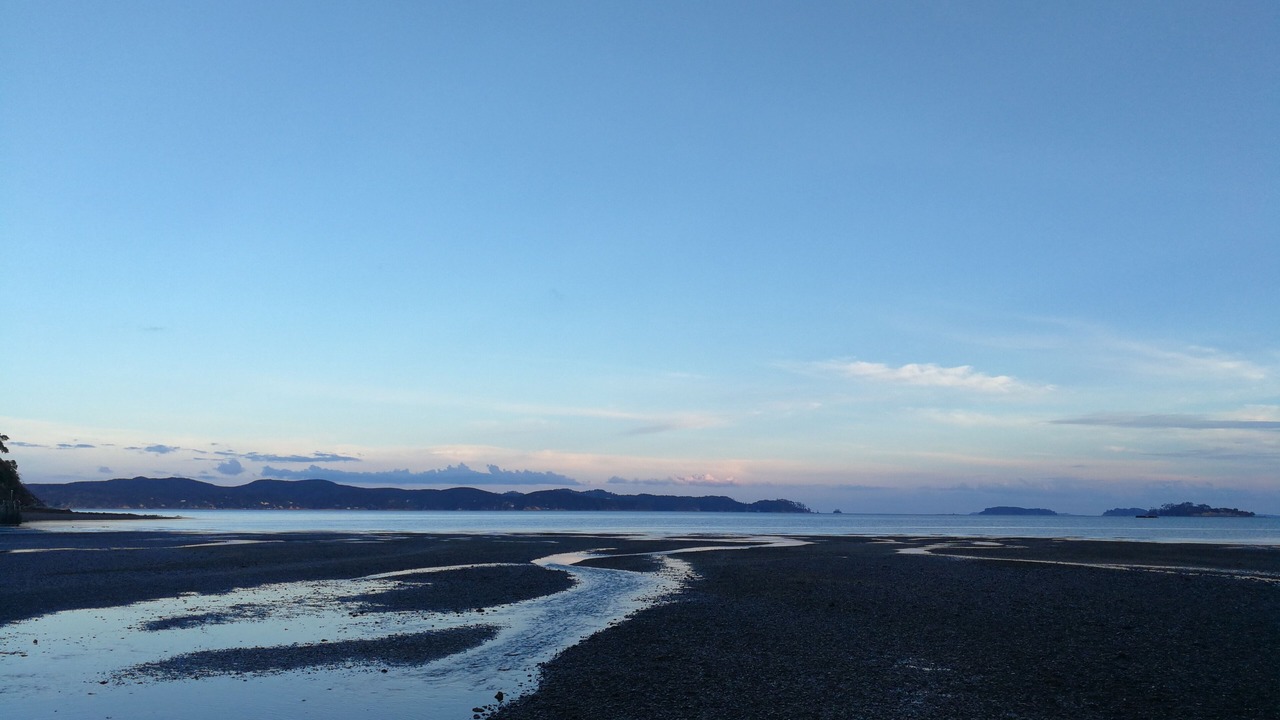 Photo of Others in Tawharanui