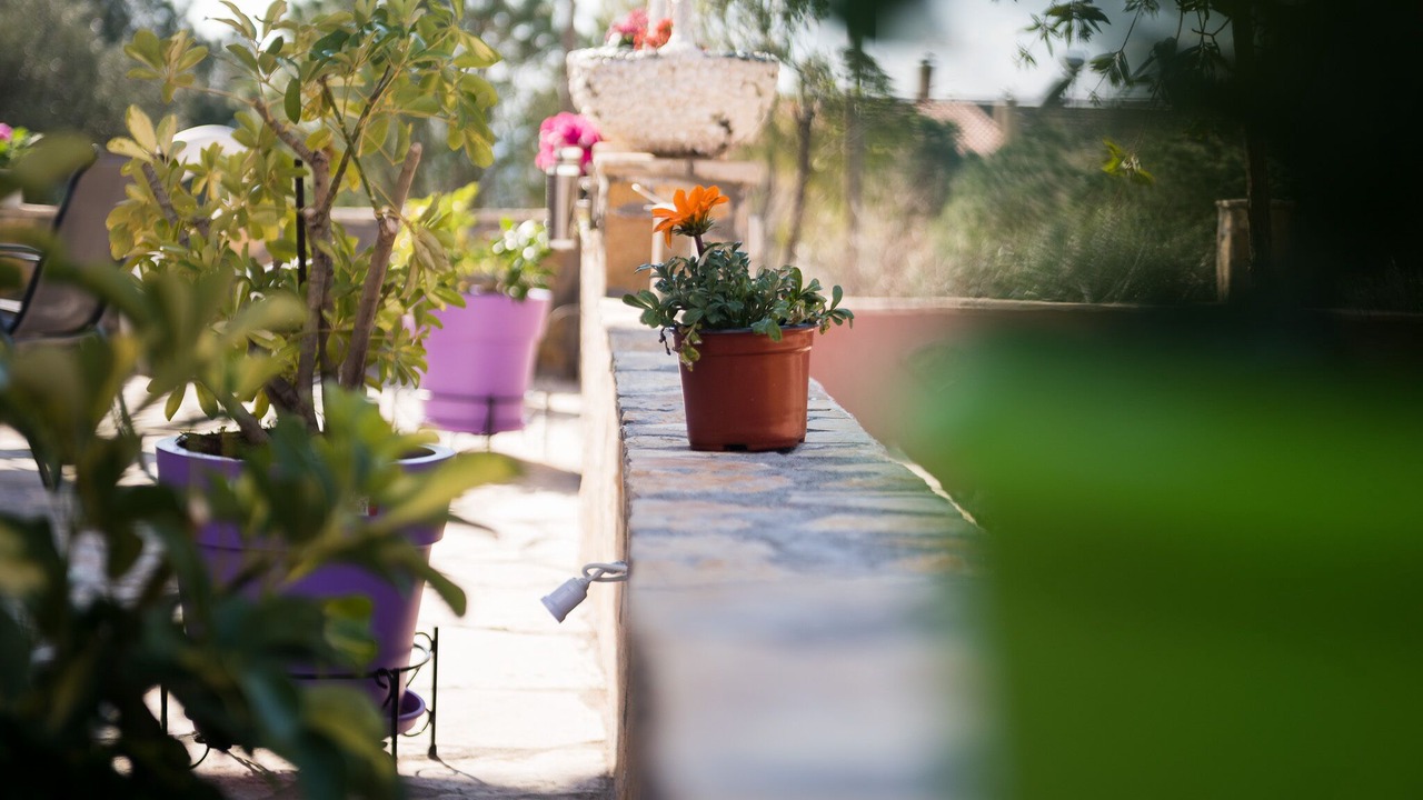 Photo of Outdoor in Razata