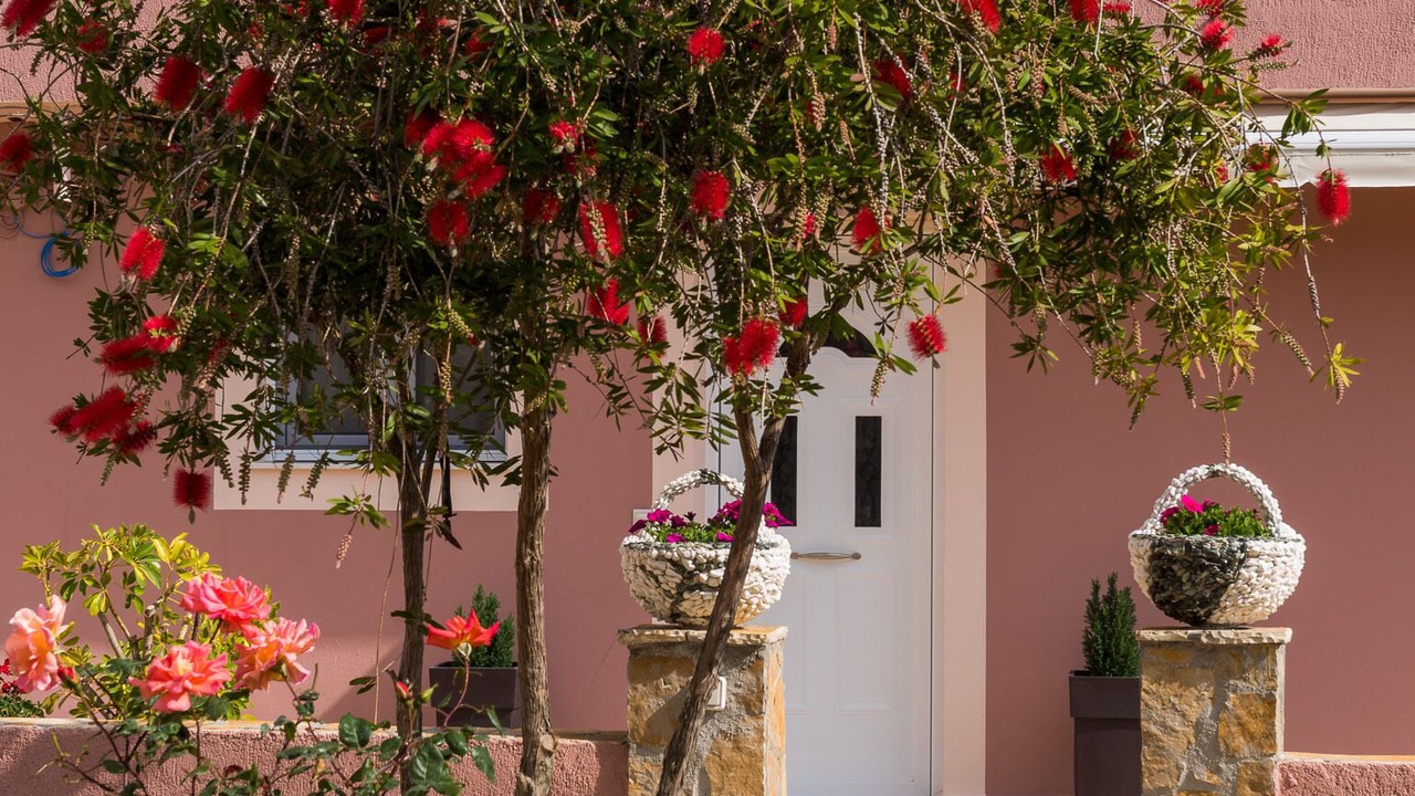 Photo of Outdoor in Razata