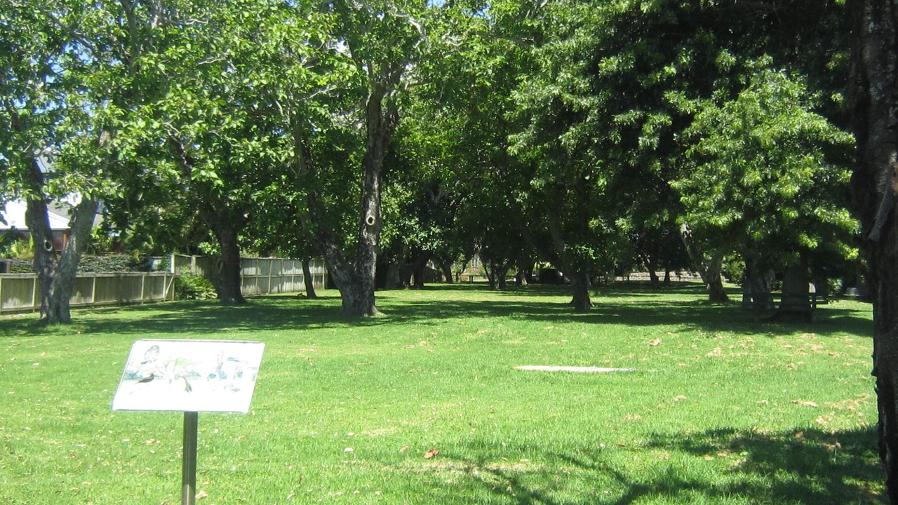 Photo of Others in Omokoroa