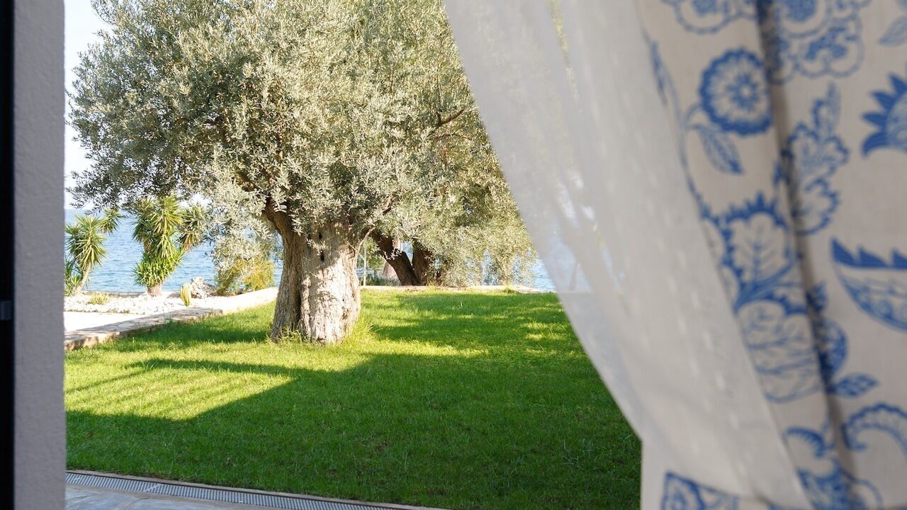 Photo of Others in Paralia