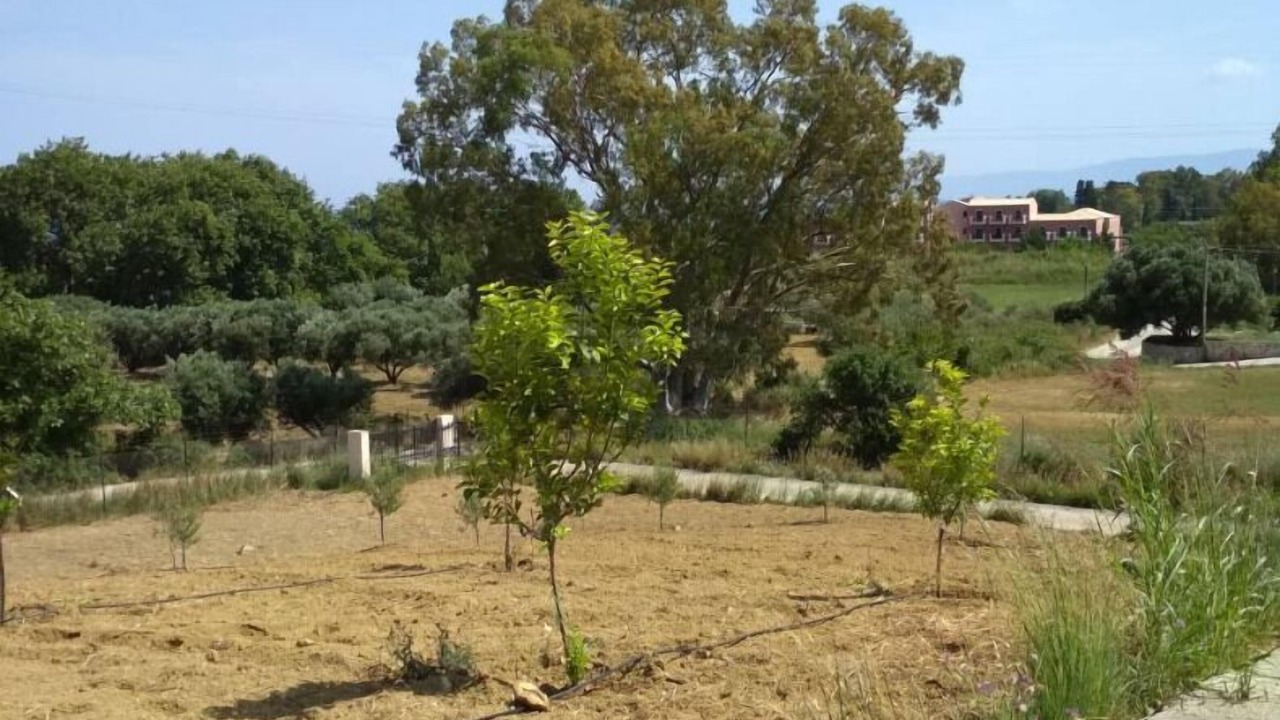 Photo of Others in Kateleios