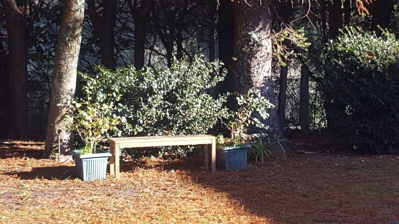 Photo of Outdoor in Rotorua