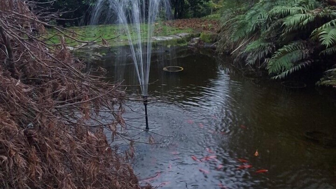 Photo of Outdoor in Rotorua
