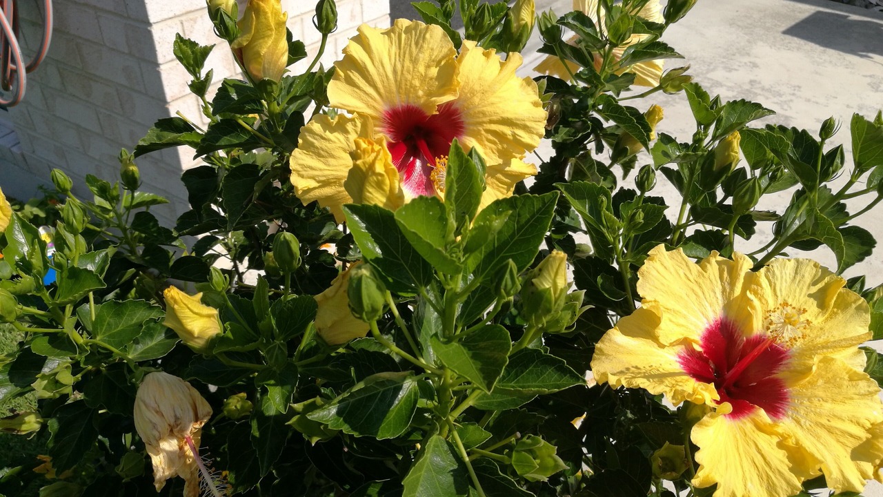 Photo of Outdoor in Waihi Beach