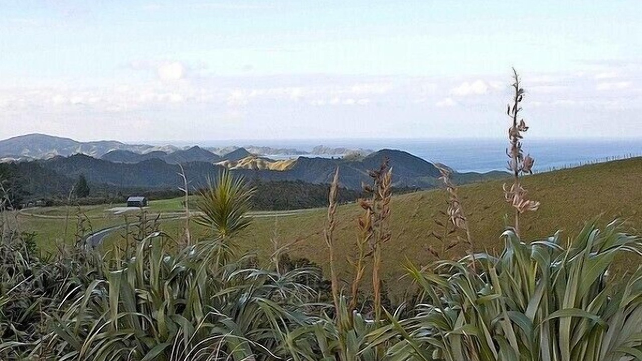 Photo of Others in Matapouri