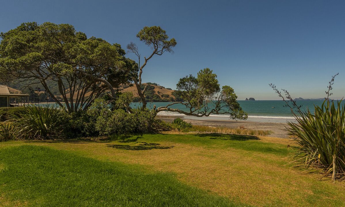 Photo of Outdoor in Wharekaho