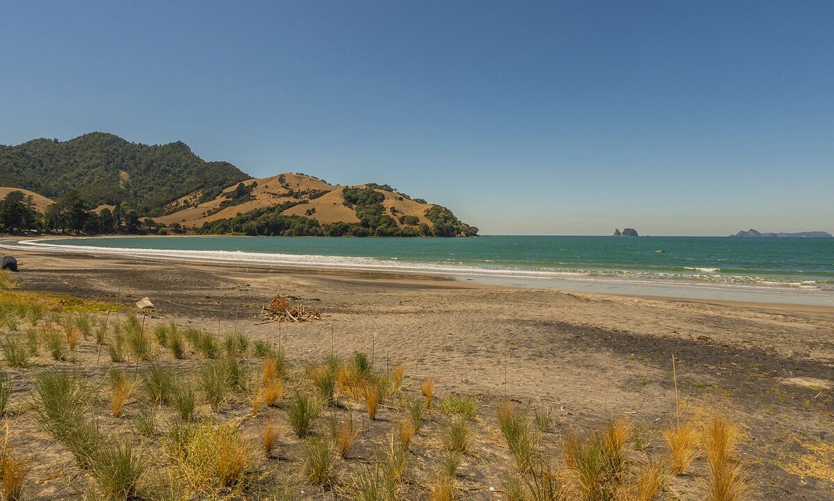 Photo of Others in Wharekaho