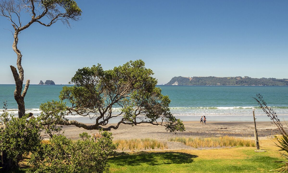 Photo of Others in Wharekaho