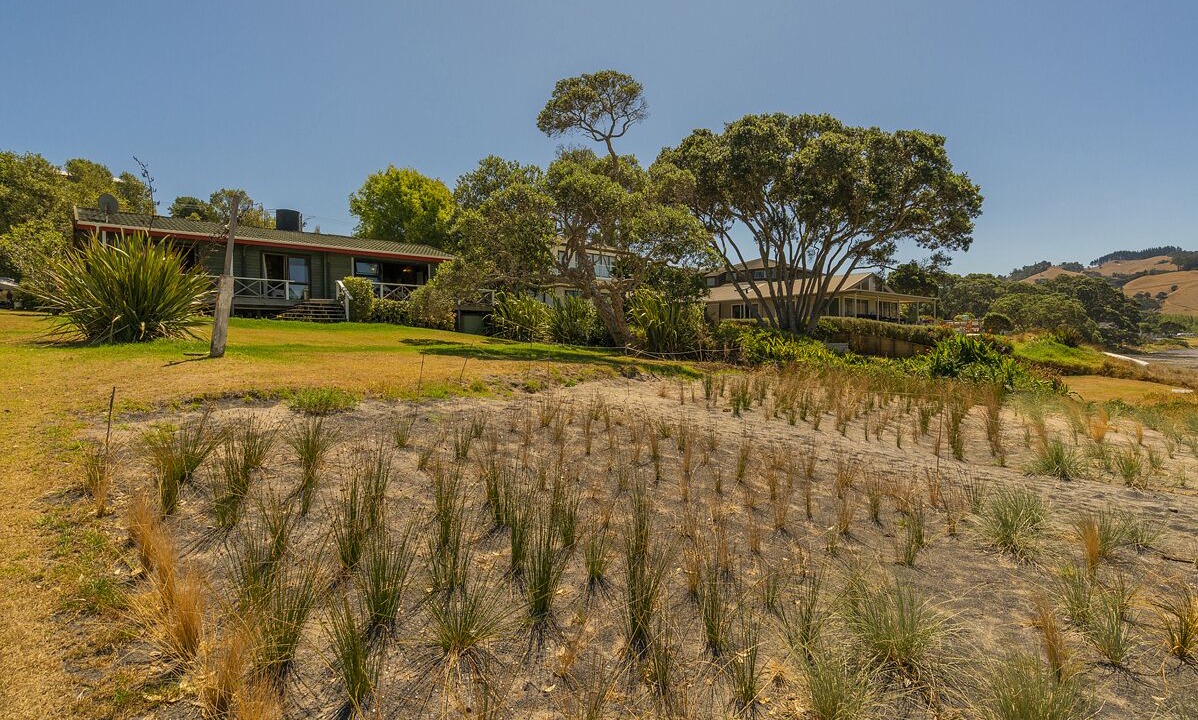 Photo of Outdoor in Wharekaho