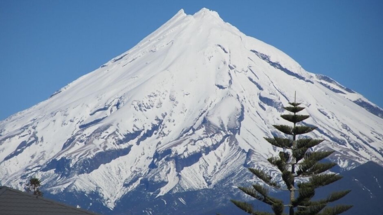Photo of Others in New Plymouth