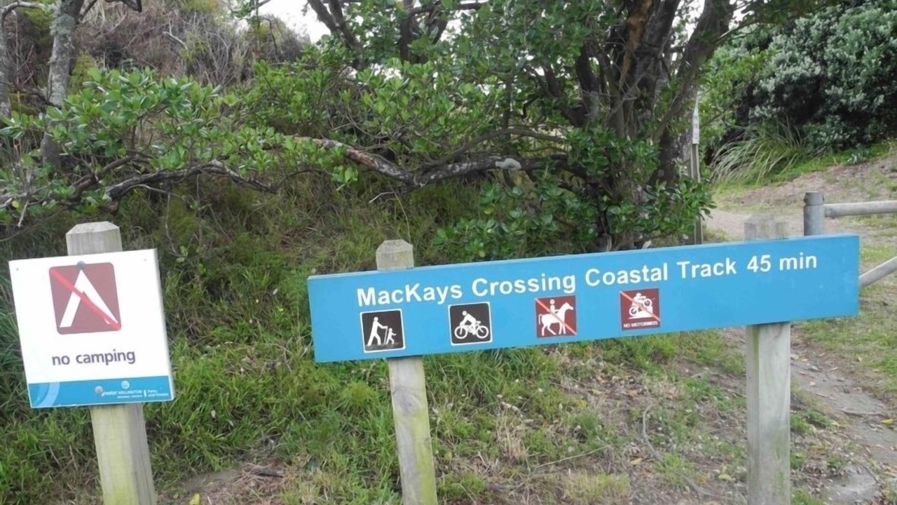 Photo of Others in Raumati South