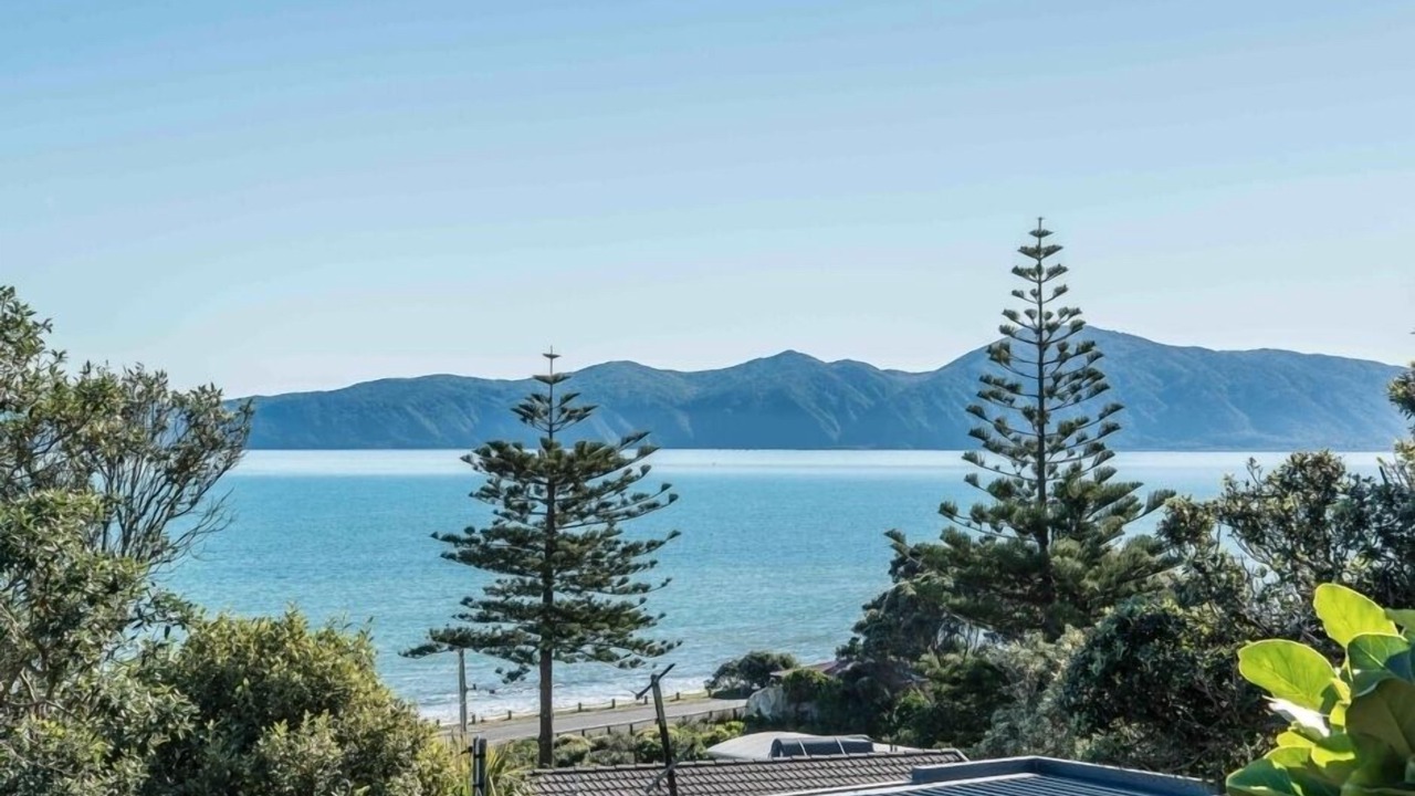 Photo of Others in Raumati South